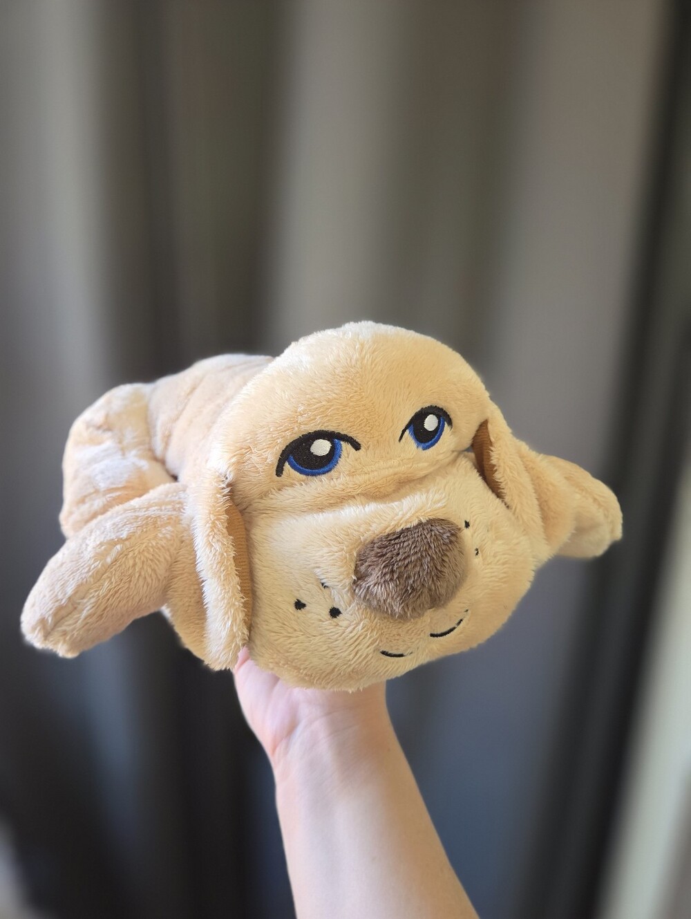 Pet Knows Best Huggie Pup -Preowned